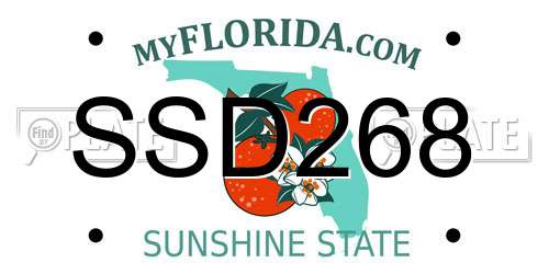 SSD268 Florida License Plate