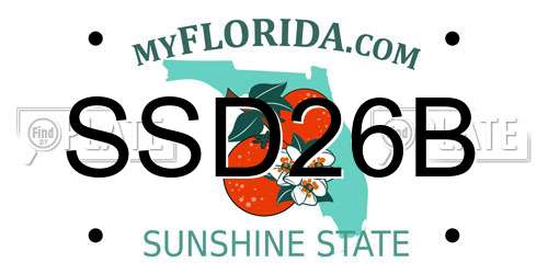 SSD26B Florida License Plate