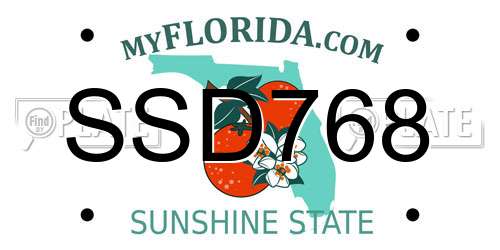 SSD768 Florida License Plate
