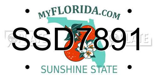 SSD7891 Florida License Plate