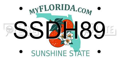 SSDH89 Florida License Plate