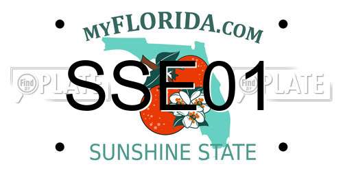 SSE01 Florida License Plate