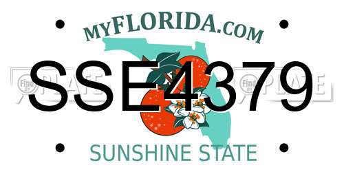 SSE4379 Florida License Plate