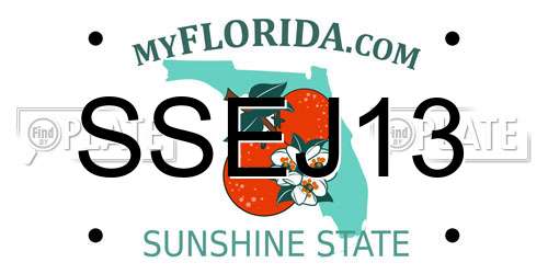 SSEJ13 Florida License Plate