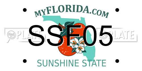 SSF05 Florida License Plate