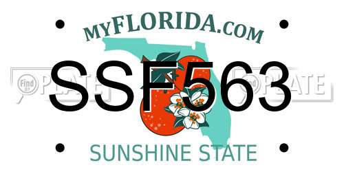 SSF563 Florida License Plate