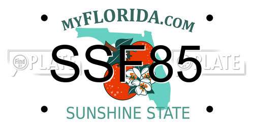 SSF85 Florida License Plate