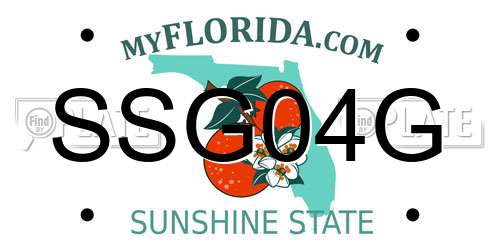 SSG04G Florida License Plate