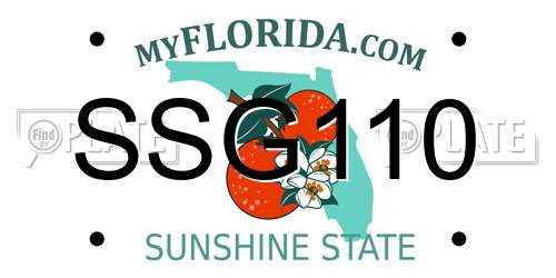 SSG110 Florida License Plate