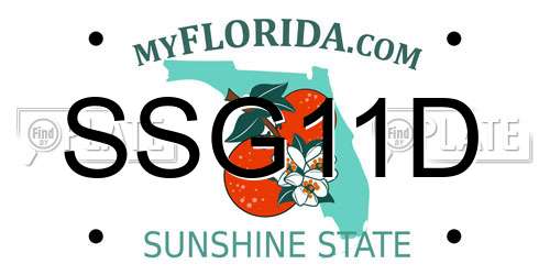 SSG11D Florida License Plate