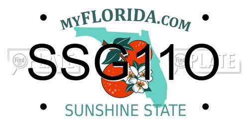 SSG11O Florida License Plate