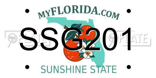 SSG201 Florida License Plate