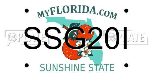 SSG20I Florida License Plate