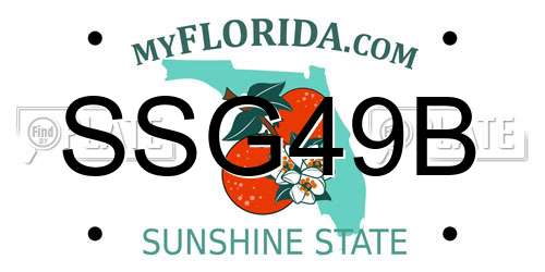 SSG49B Florida License Plate