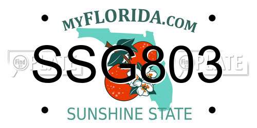 SSG803 Florida License Plate