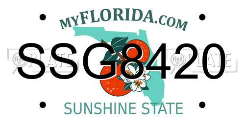SSG8420 Florida License Plate