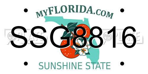 SSG8816 Florida License Plate