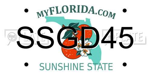 SSGD45 Florida License Plate