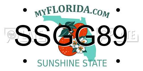 SSGG89 Florida License Plate