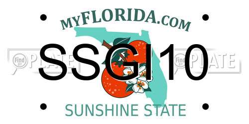 SSGI10 Florida License Plate