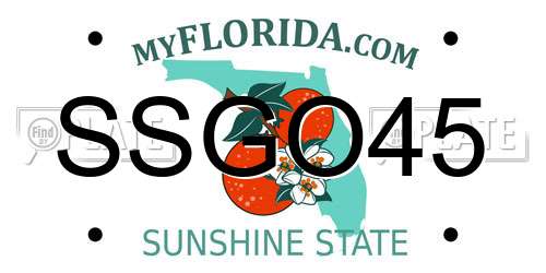 SSGO45 Florida License Plate