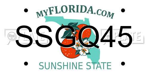 SSGQ45 Florida License Plate