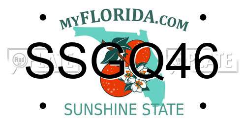 SSGQ46 Florida License Plate