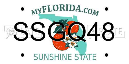 SSGQ48 Florida License Plate