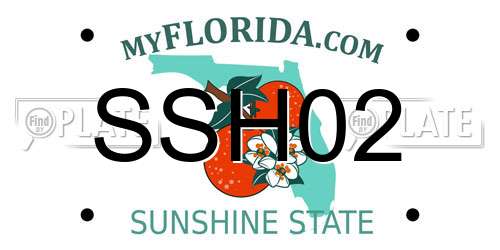SSH02 Florida License Plate