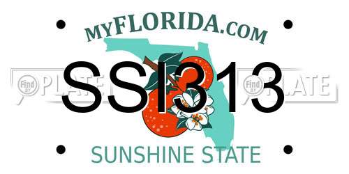 SSI313 Florida License Plate