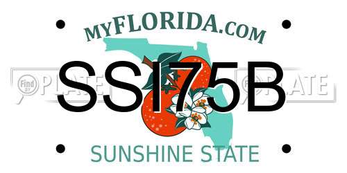 SSI75B Florida License Plate