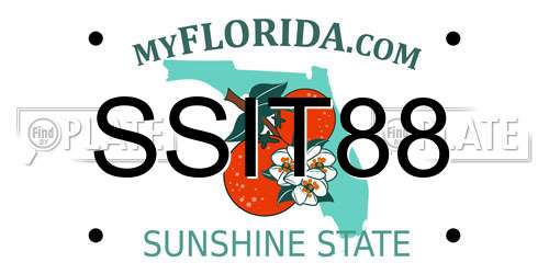 SSIT88 Florida License Plate