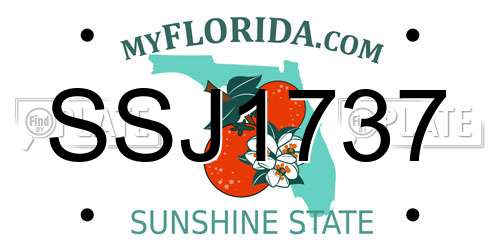 SSJ1737 Florida License Plate
