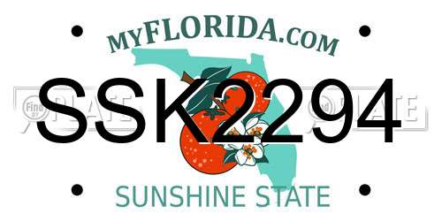 SSK2294 Florida License Plate