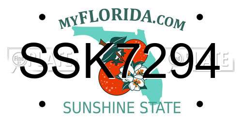 SSK7294 Florida License Plate
