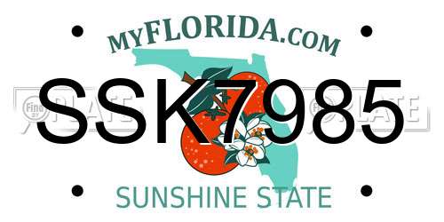 SSK7985 Florida License Plate
