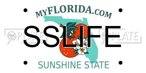 SSLIFE Florida License Plate