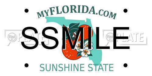 SSMILE Florida License Plate