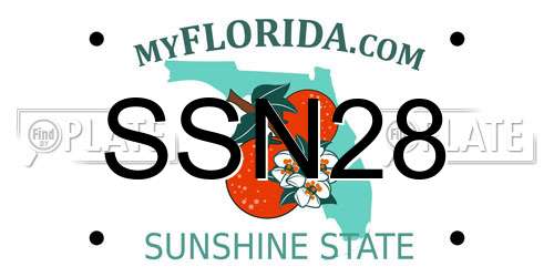 SSN28 Florida License Plate