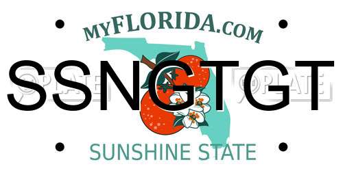 SSNGTGT Florida License Plate