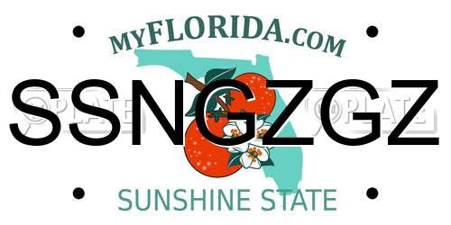 SSNGZGZ Florida License Plate