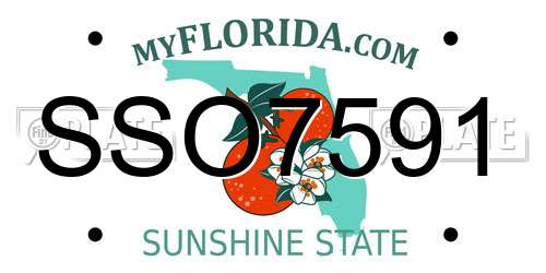 SSO7591 Florida License Plate