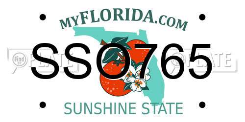 SSO765 Florida License Plate