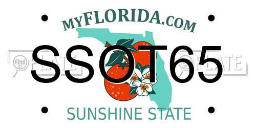 SSOT65 Florida License Plate