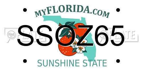 SSOZ65 Florida License Plate