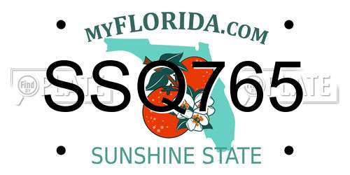 SSQ765 Florida License Plate