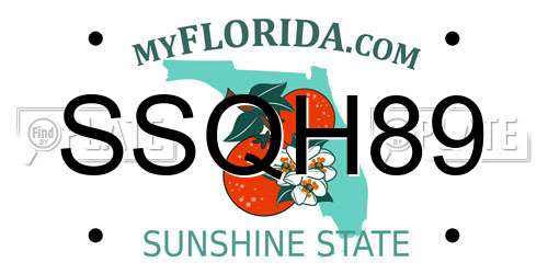 SSQH89 Florida License Plate