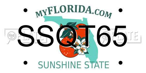 SSQT65 Florida License Plate