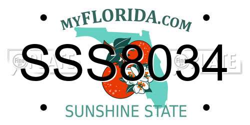 SSS8034 Florida License Plate