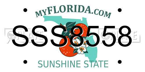 SSS8558 Florida License Plate